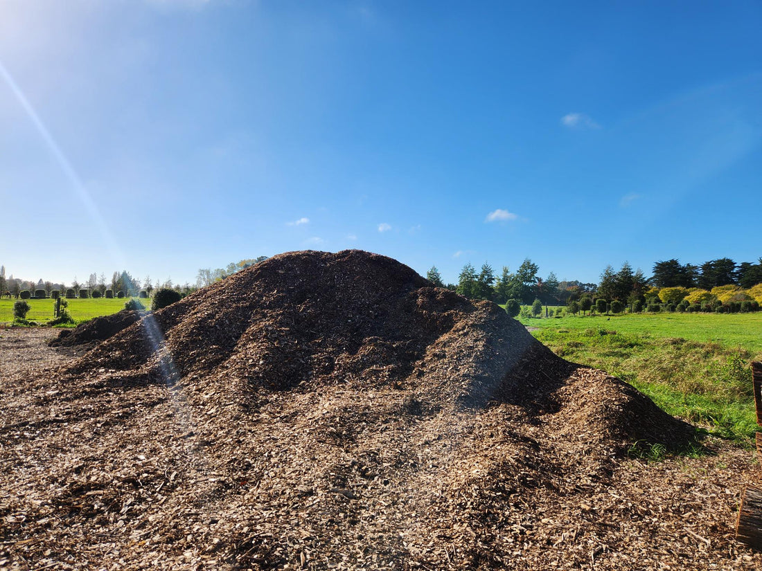 large mound of mulch with a background of green grass and blue sky