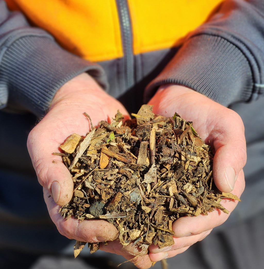 handful of aged mulch being held by hands
