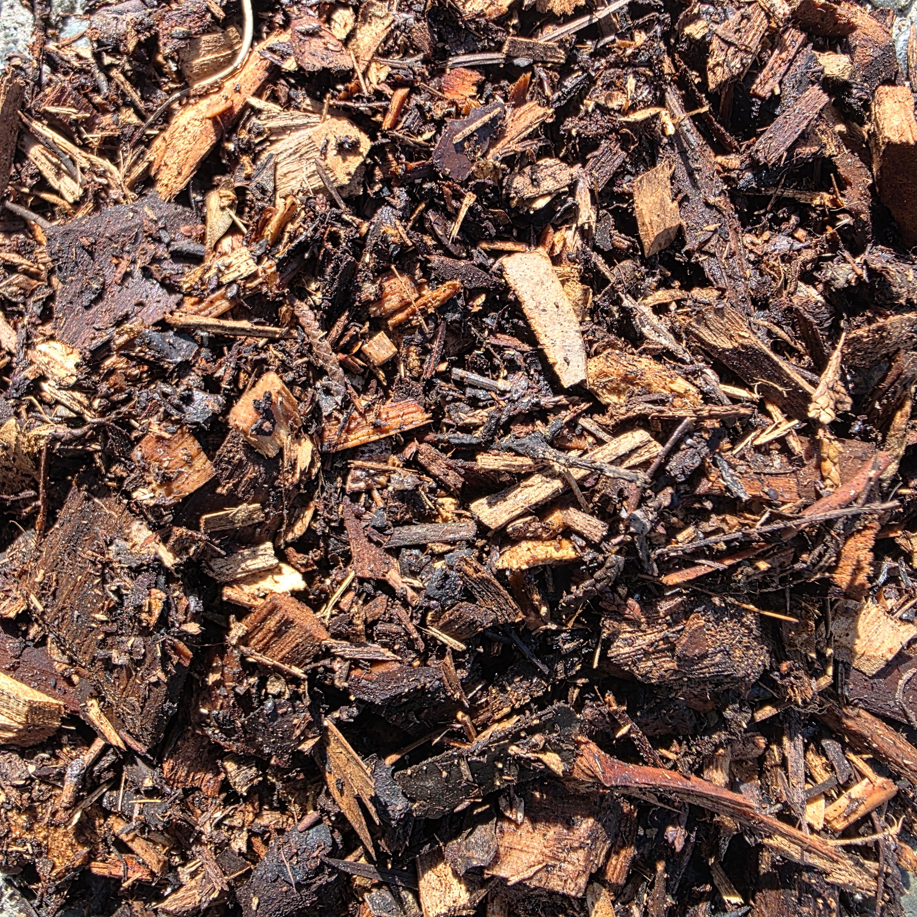 8m³ Aged Mulch Delivery | Extra Large Load of Mulch